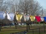 Les premières cordes à linge (Z) Les premières cordes à linge (Z)