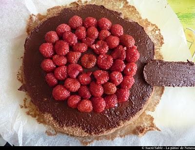 Gâteau chocolat-framboise