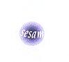 Le football camerounais en musique logo-sesam.jpg