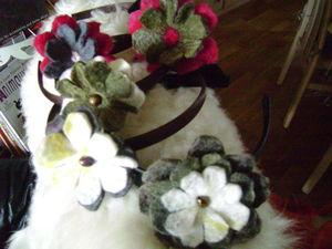 Serre-têtes feutrés DSC08888