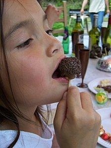 Cake pops ou cake balls 100 6403