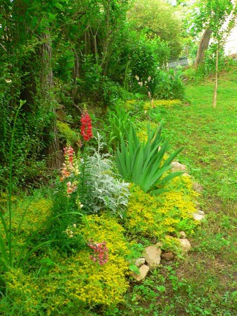 Jolies Fleurs de Mai Jolies Fleurs de Mai