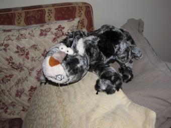 Nul n’est irremplaçable 110525 Chat .jpg