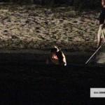 38 38 150x150 Twilight 4 : Révélation partie 1 : Point sur les infos connues