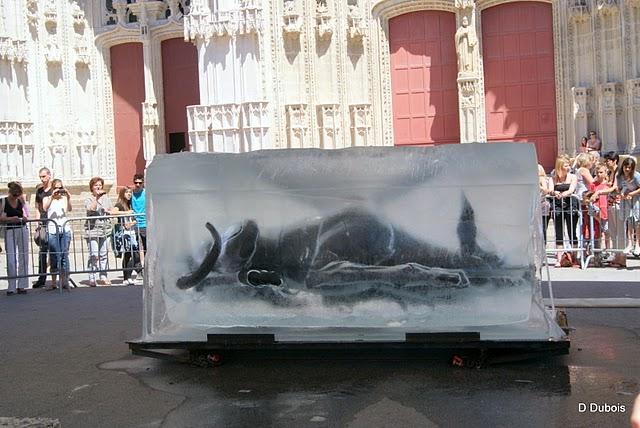 La Petite géante .
Depuis le 24 mai un mur tombé du cie... La Petite géante .
Depuis le 24 mai un mur tombé du cie...