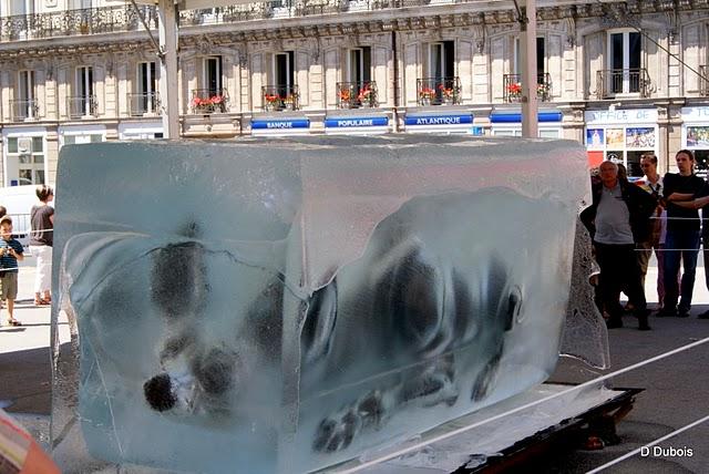 La Petite géante .
Depuis le 24 mai un mur tombé du cie... La Petite géante .
Depuis le 24 mai un mur tombé du cie...