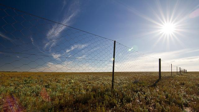 The Dog Fence, 5500km