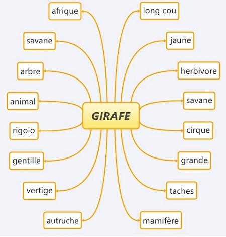 brainbloom brainbloom