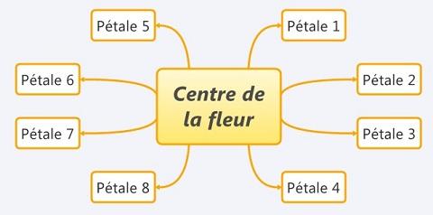 brainbloom brainbloom, brain bloom