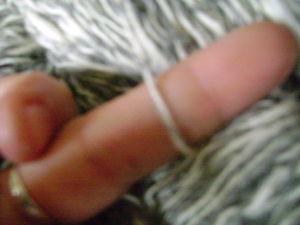 Echeveau shetland/angora DSC08892