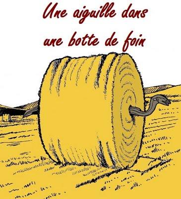 Expression Française 4 Expression Française 4