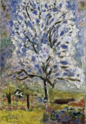 Musée Bonnard Musée Bonnard
