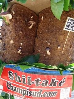 Les journées méditeranéennes des saveurs Les journées méditeranéennes des saveurs