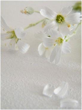 UN DIMANCHE ...
Pour aujourd'hu... DSCF6301