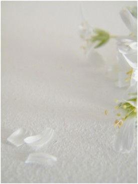 UN DIMANCHE ...
Pour aujourd'hu... DSCF6300