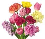 FETE DES MERES FETE DES MERES