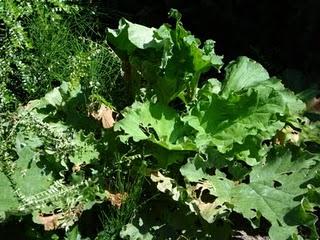 Un p'tit tour en puis s'en va... Un p'tit tour en puis s'en va...