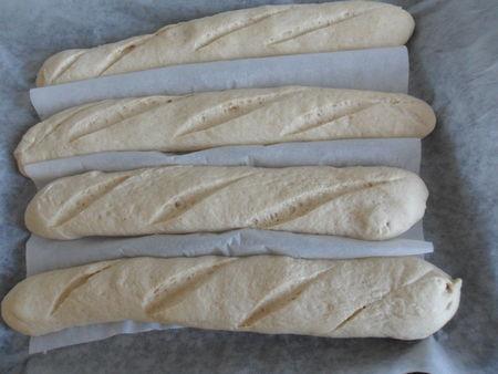 Baguettes de pain et poolish SAM_1632