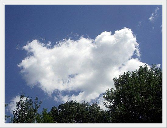 True Colors : N comme ... Nébuleux Nuages Nebuleux (2)