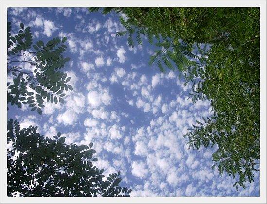 True Colors : N comme ... Nébuleux Nuages Nebuleux (7)