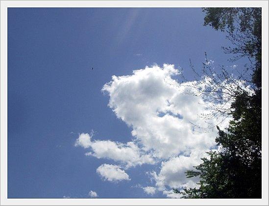 True Colors : N comme ... Nébuleux Nuages Nebuleux (4)