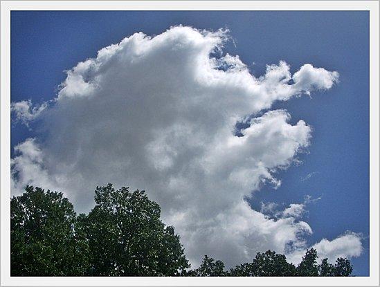 True Colors : N comme ... Nébuleux Nuages Nebuleux (5)