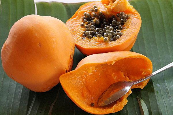 une purge naturelle mai fin jardin-tival 003