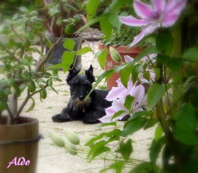 Nous attendions tous la pluie...Elle a fini par arriver !... Nous attendions tous la pluie...Elle a fini par arriver !...