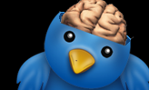 La taille du cerveau détermine le nombre d'amis sur Twitter.