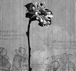 I will stay till she comes - Atelier 210 - 07/06 - 25/06 I will stay till she comes - Atelier 210 - 07/06 - 25/06