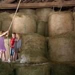 47 Jeux dans l'étable Un Lit au Pré :Laissez vous tenter !