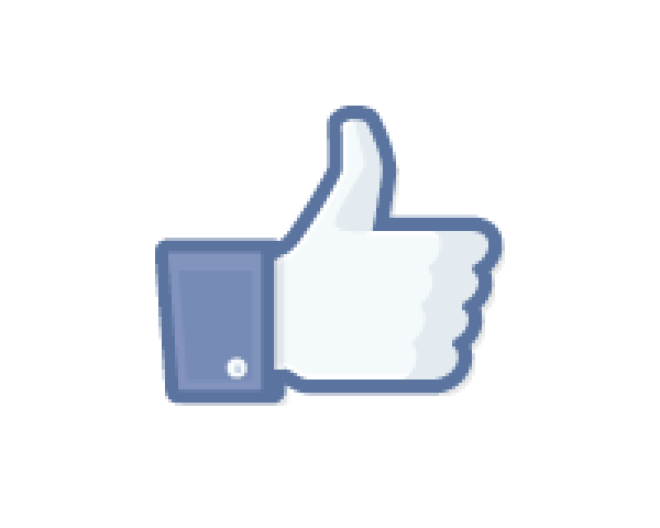 Les pages Facebooks pro, un incontournable dans la communication sur le web