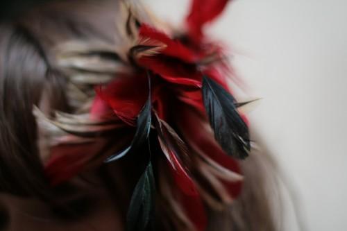 IMG_7301 Plumes & Vinyle