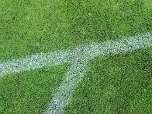 terrain Herbe fraîche