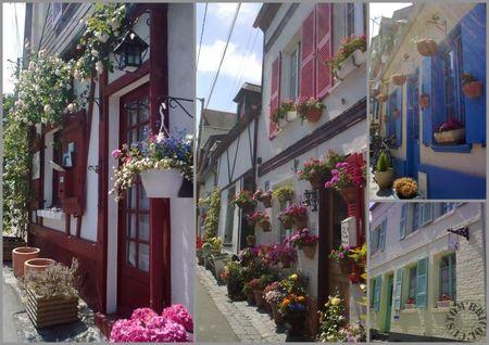 Un vendredi en Baie de Somme fleurs baie de somme montage