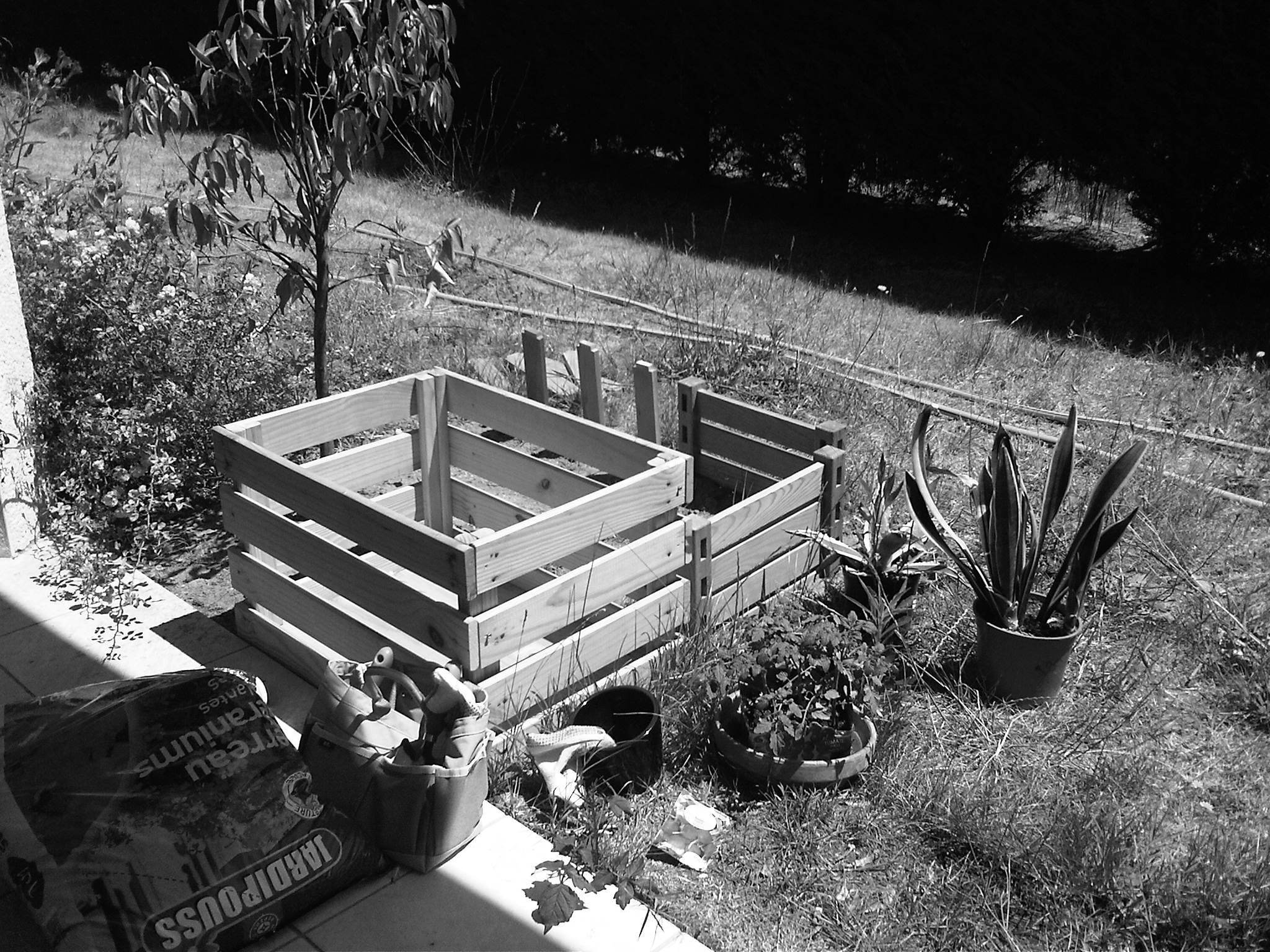Les débuts du potager