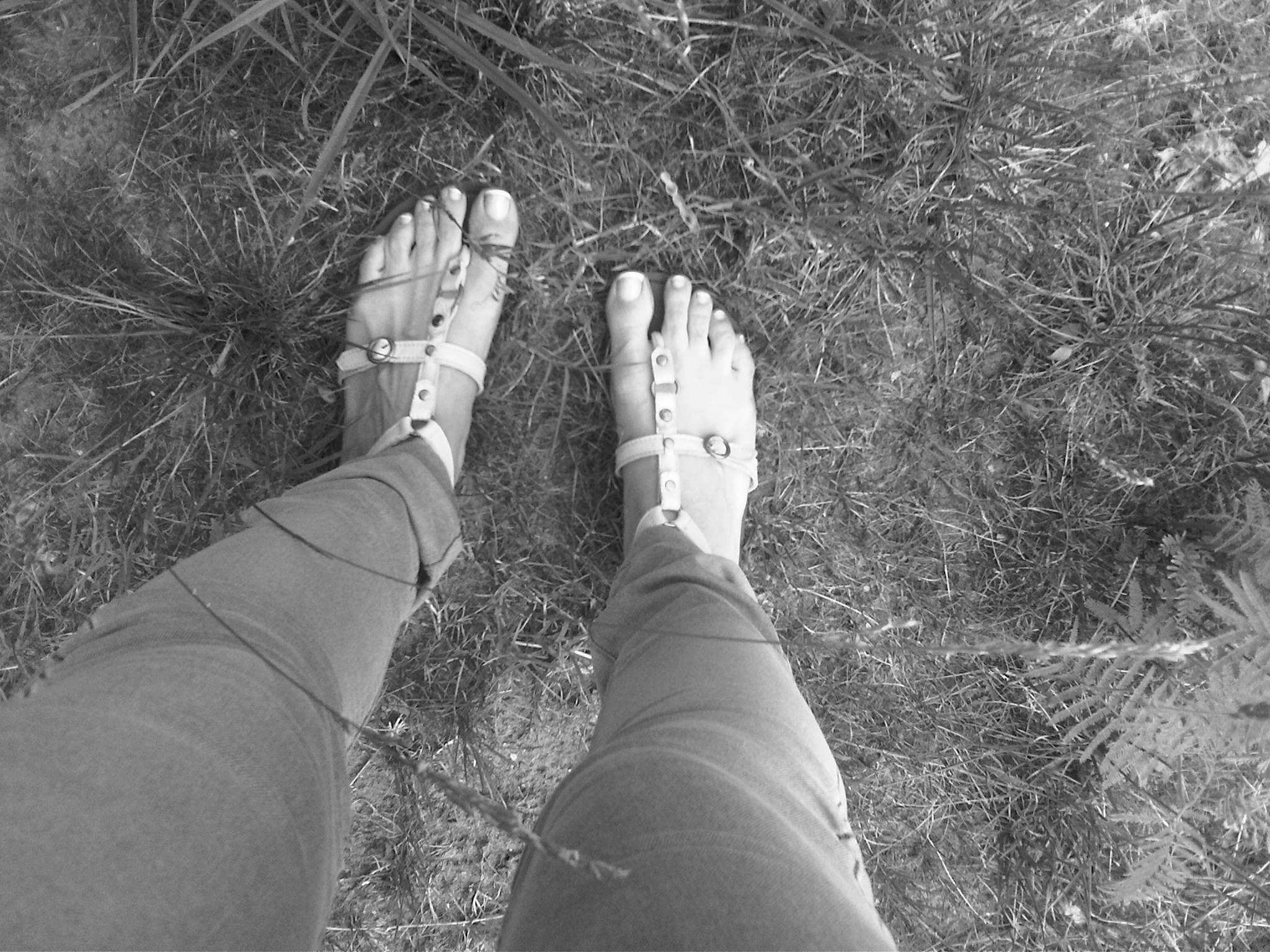 Gladiators Billabong
