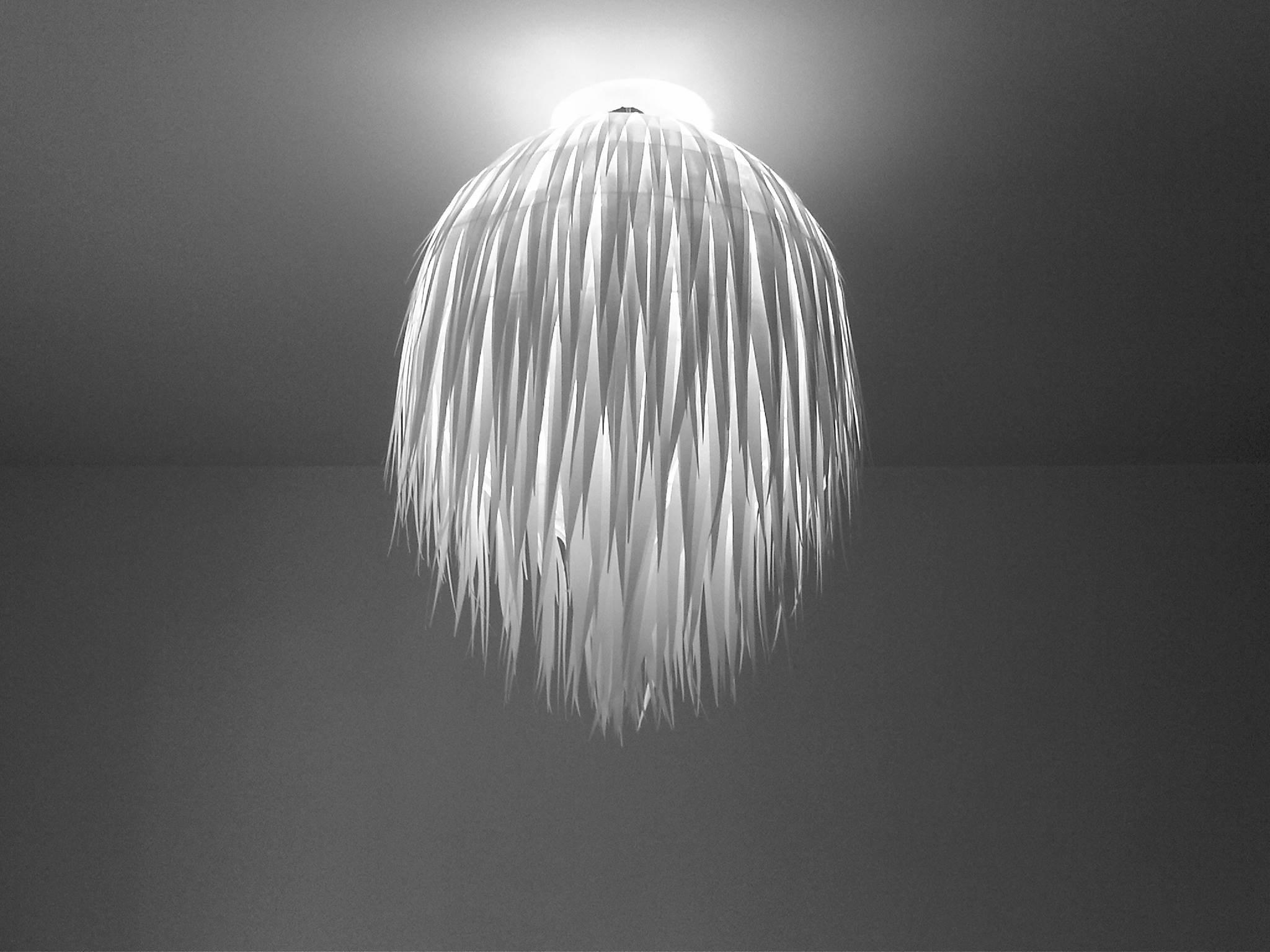 Crazy light