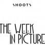 SHOOTS INTRO