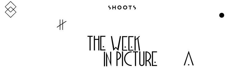 The Week in Pictures #6
