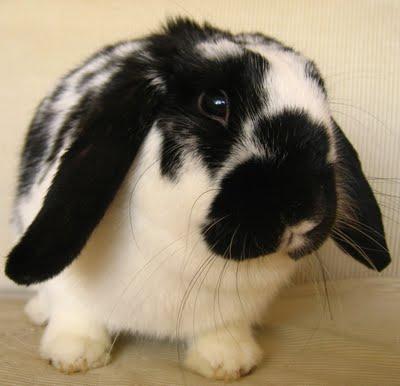 Une semaine cruelle Une semaine cruelle