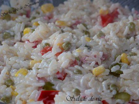Salade de riz 2