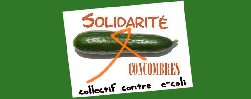 Solidarité concombre
