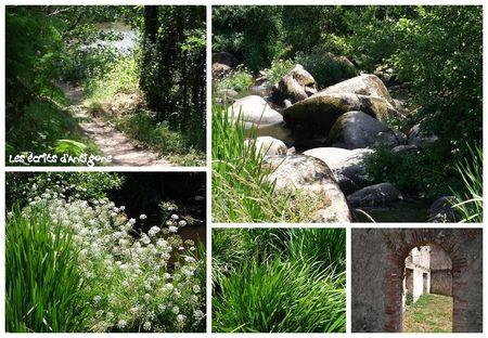 Un peu de fraîcheur piquet