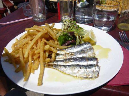 sans queues ni têtes 4sardines