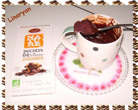 Brownies cuit dans un mug en 40s chrono lol IMGP0604
