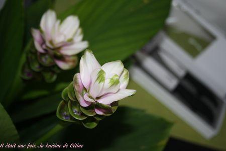 Mon partenariat avec Cookut il__tait_une_fois