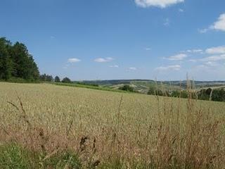 Flaneries entre Auxerrois et Tonnerois