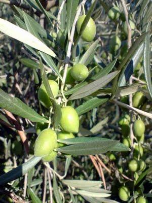 un lundi parmi tant d'autres un lundi parmi tant d'autres