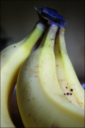 SONY DSC Petites verrines au chocolat